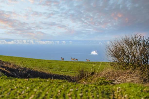 La Bull'Opale - Appartement D'Exception Avec Balneo Boulogne-sur-Mer Zewnętrze zdjęcie